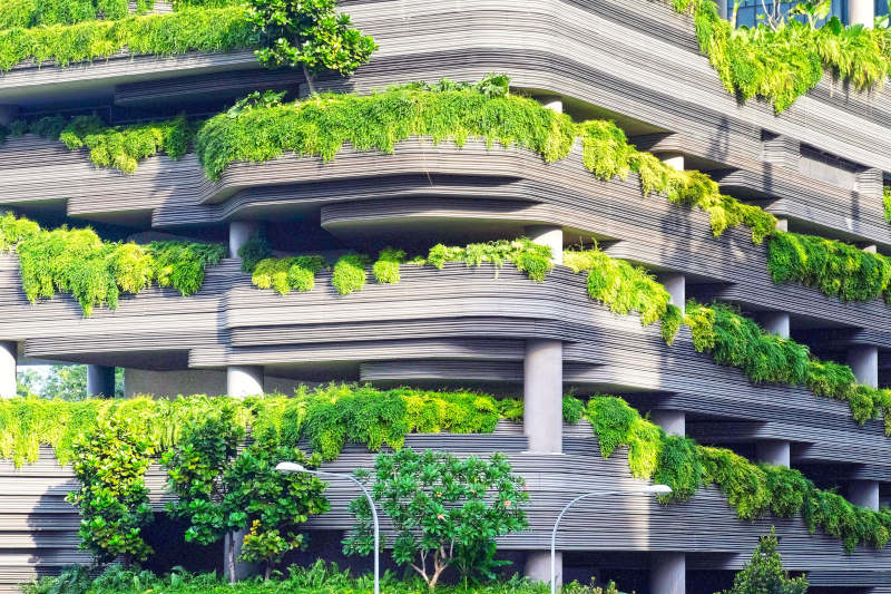 Eco